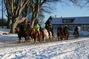 Avgång från gården - glada hästar och ryttare