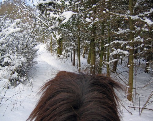 Härliga vintern från hästryggen